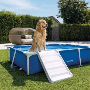 Rectangular Frame Pet Pool with Filter & Ramp